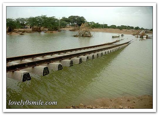 صور حول العالم لشهر أغسطس (4)