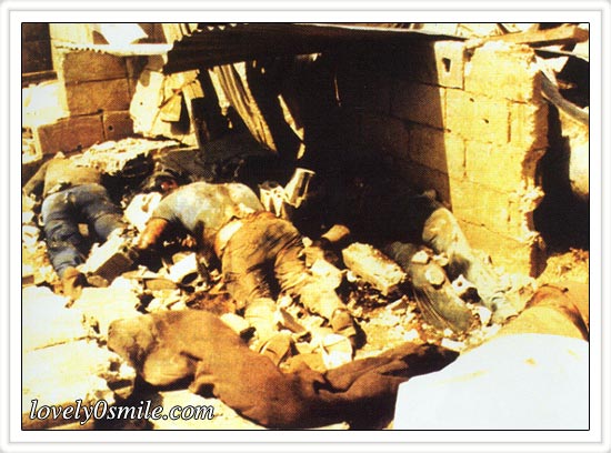 الاجتياح الصهيوني للبنان عام 82 - صور