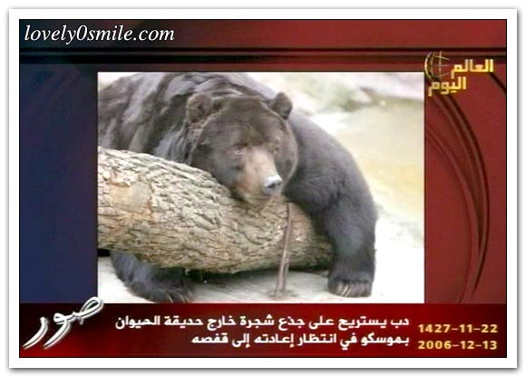 العالم اليوم 13-12-2006 / صور