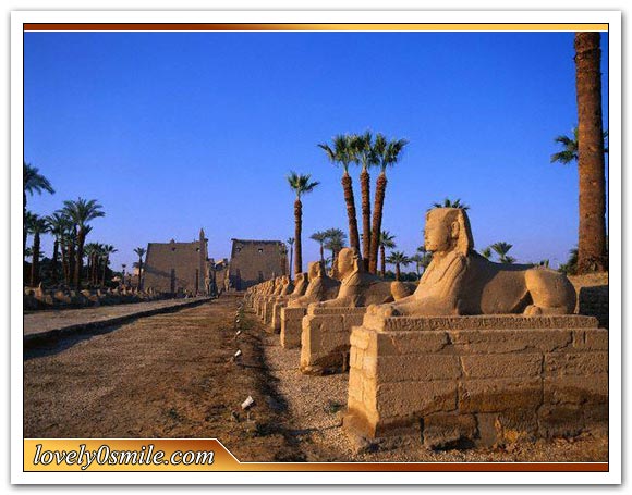  Egypt.Com - منتديات مصر