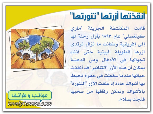 رحلات لا تصدق