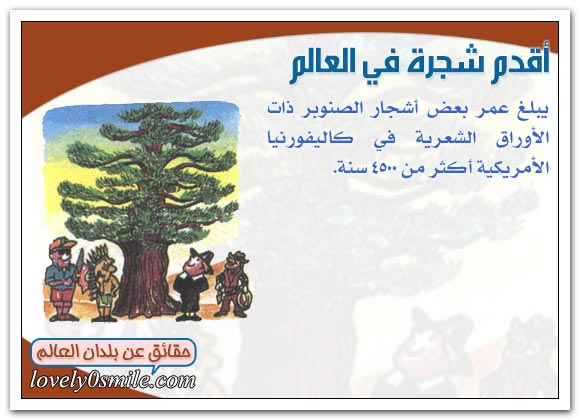 الأحراش
