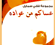 وسائط معايده