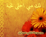 وسائط معايده