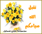 وسائط معايده
