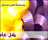 وسائط معايده