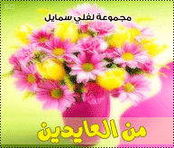 وسائط معايده