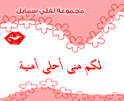 وسائط معايده 2