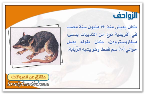 أعمار تاريخية