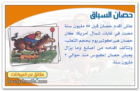 أعمار تاريخية