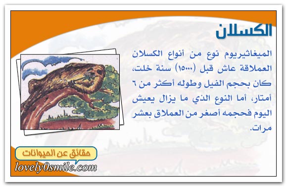 أعمار تاريخية