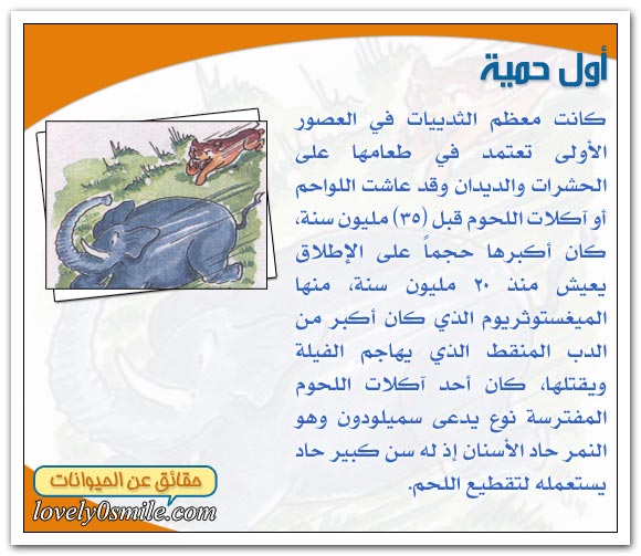 أعمار تاريخية