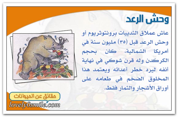 أعمار تاريخية