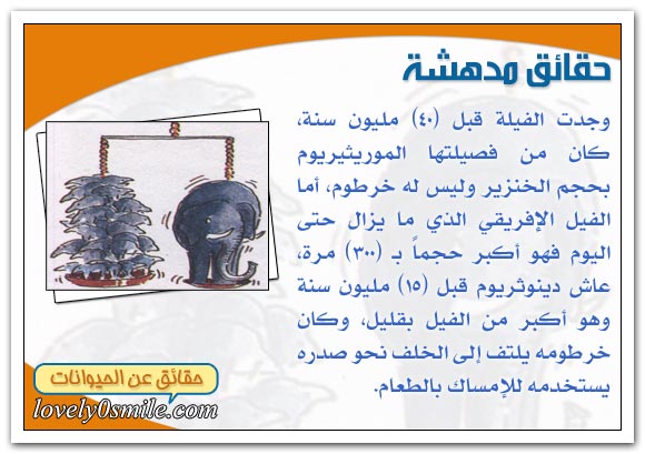 أعمار تاريخية