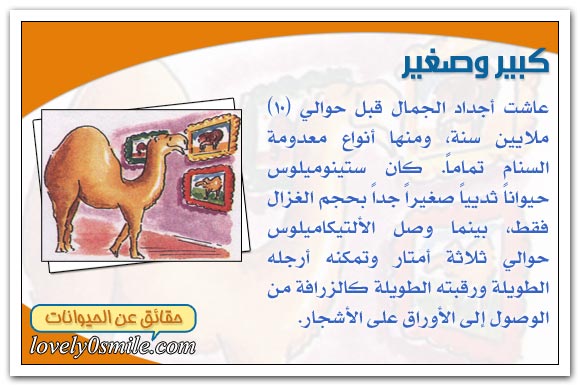 أعمار تاريخية