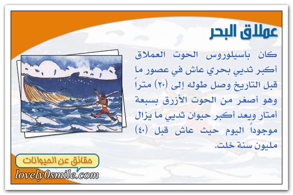 أعمار تاريخية