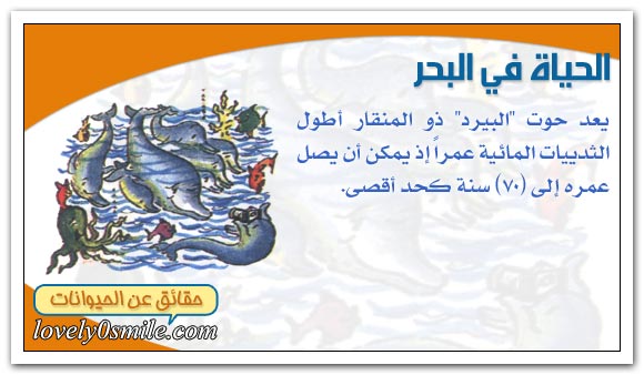 حياة الثديات