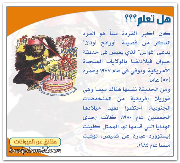 حياة الثديات