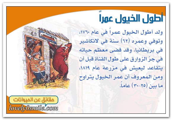 حياة الثديات