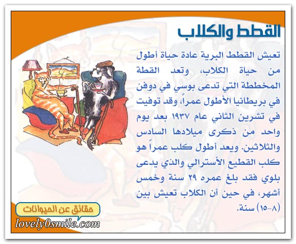 حياة الثديات