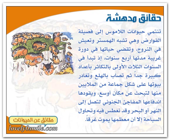 حياة الثديات