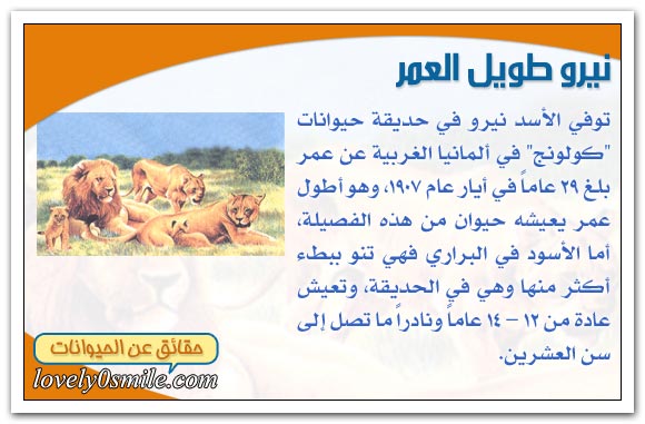 حياة الثديات