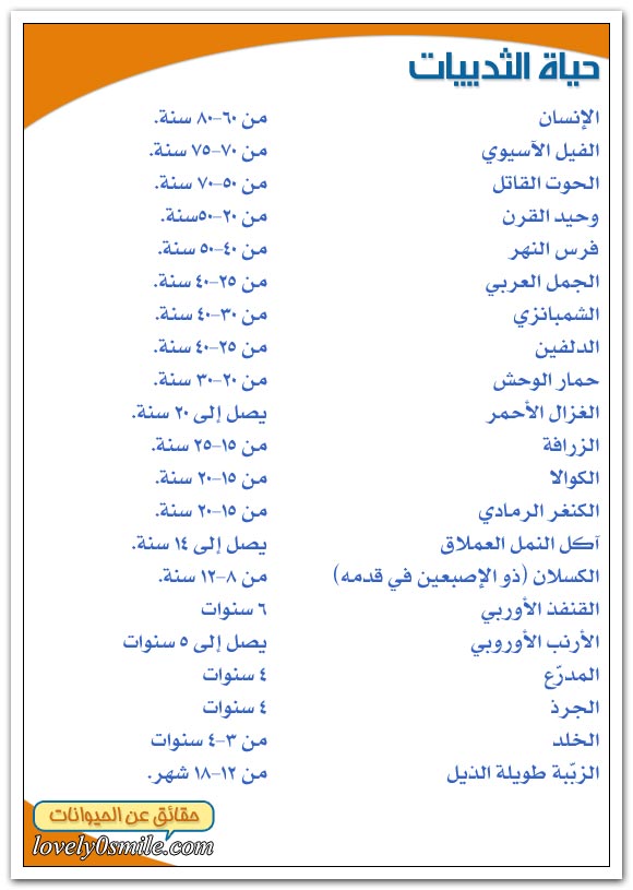 حياة الثديات