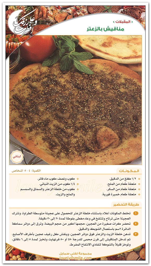 شيش طاووق - طبق لبناني