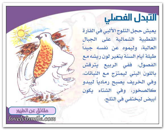 الريش