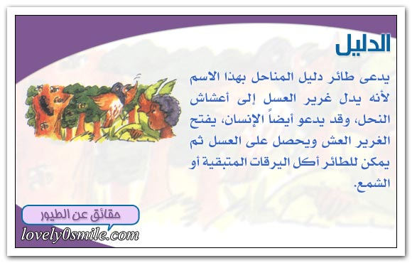 ���� ������ ����������