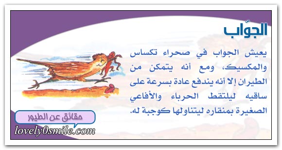 ���� ������� ������ ��������