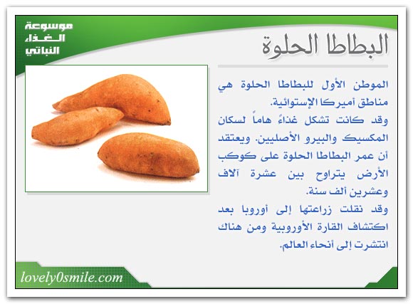 البطاطا الحلوة