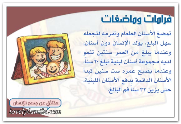 عملية الهضم داخل الإنســان