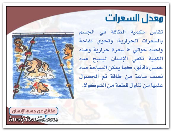 عملية الهضم داخل الإنســان