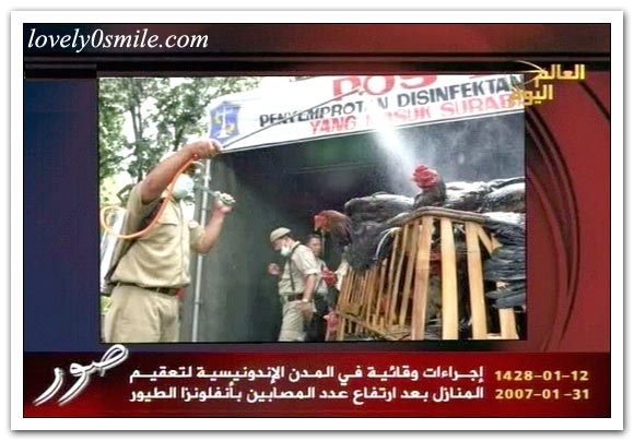 العالم اليوم 31-1-2007 / صور