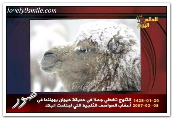 العالم اليوم 8-2-2007 / صور