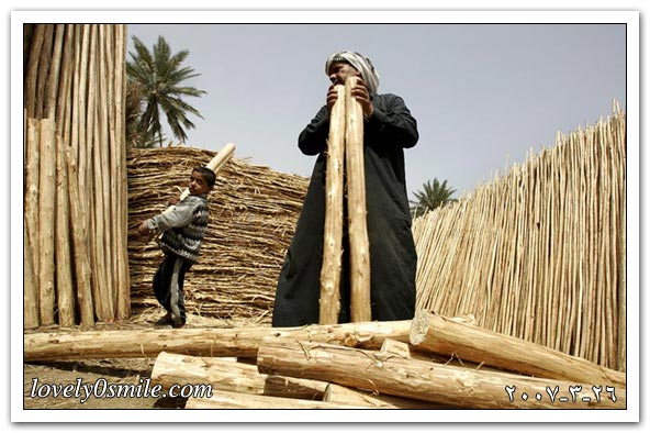 العالم اليوم 26-3-2007 / صور