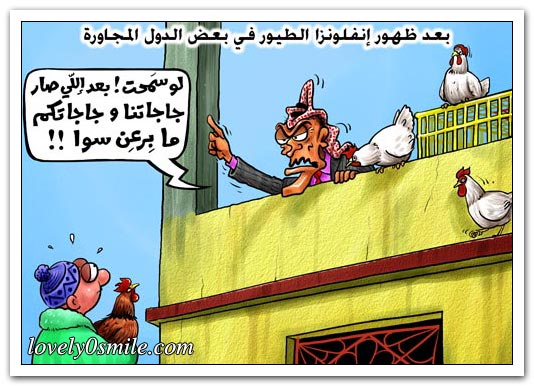 كاريكاتير أبو محجوب