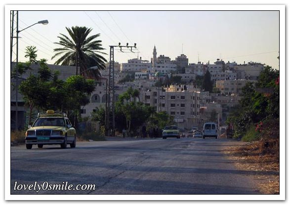 جولة في مدن فلسطين - صور