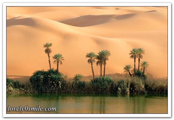 صور منوعة 68