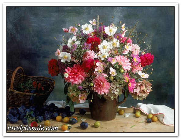 صور منوعة 68