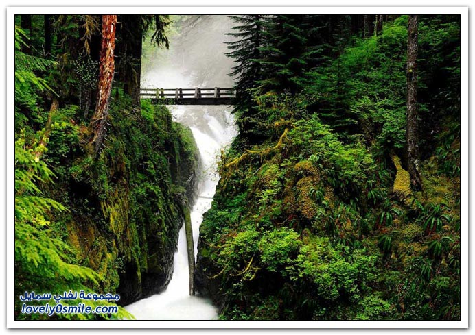 صور منوعة 91