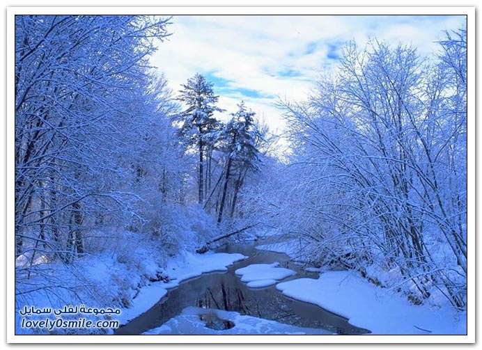 صور منوعة 91