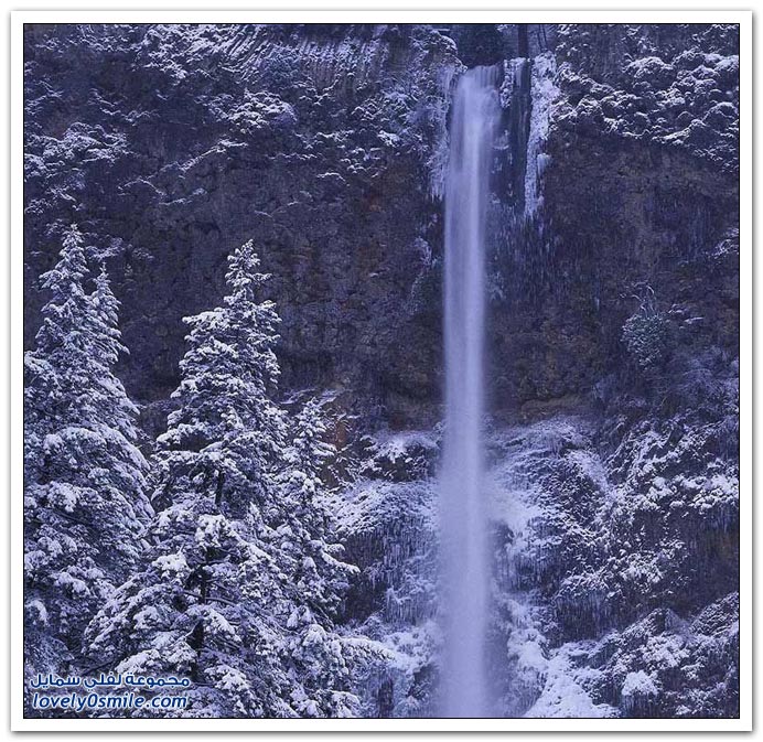 صور منوعة 91