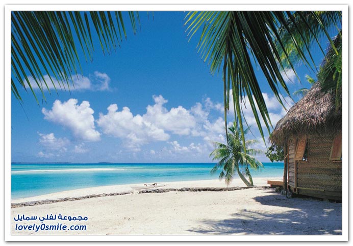 صور منوعة 91
