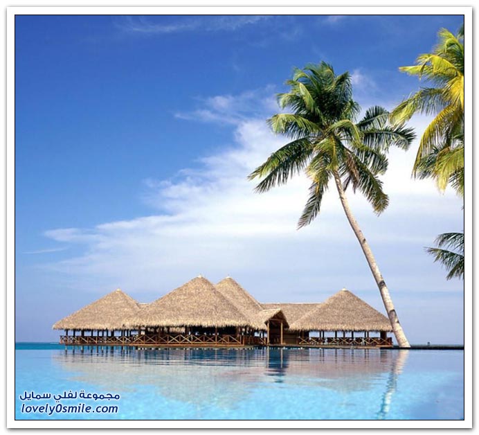 صور منوعة 91