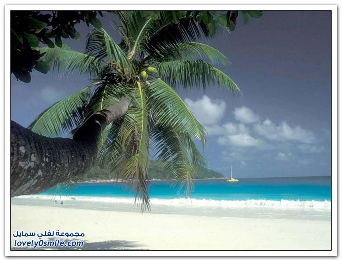 صور منوعة 91
