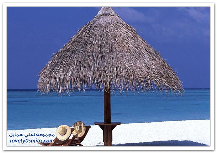صور منوعة 91