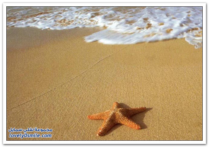 صور منوعة 91