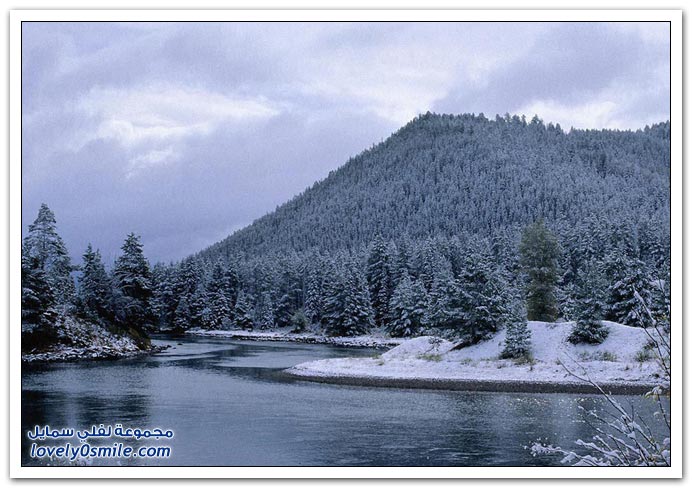 صور منوعة 91